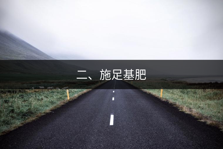 二、施足基肥