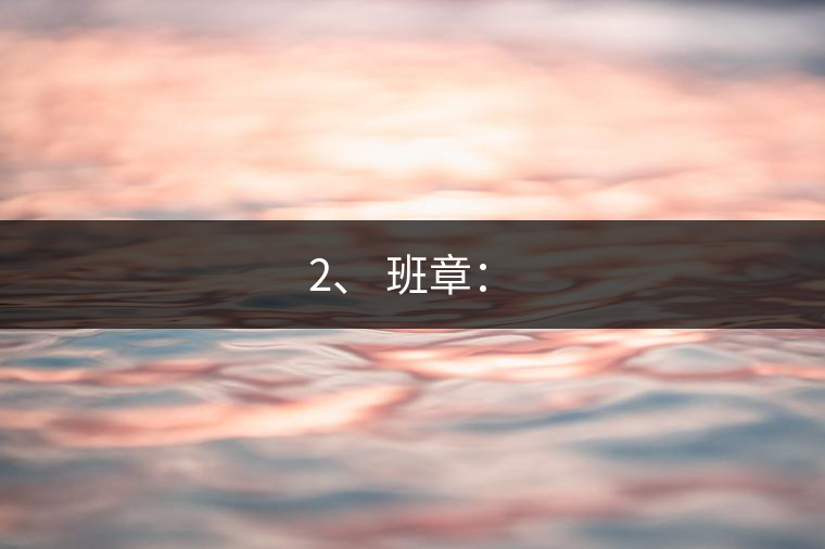 2、 班章：?