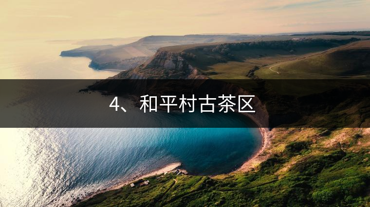 4、和平村古茶區(qū) ?