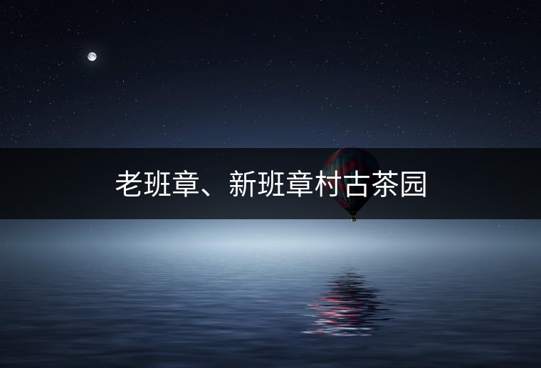 老班章、新班章村古茶園