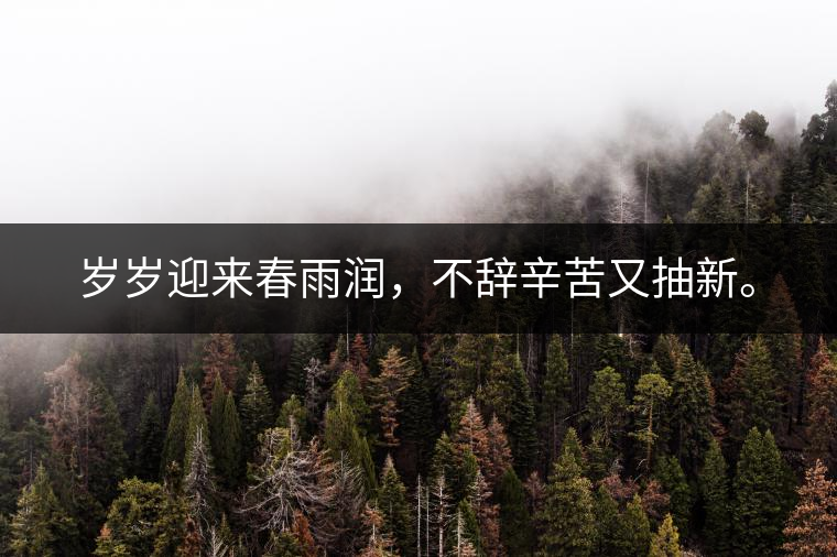 歲歲迎來(lái)春雨潤(rùn)，不辭辛苦又抽新。