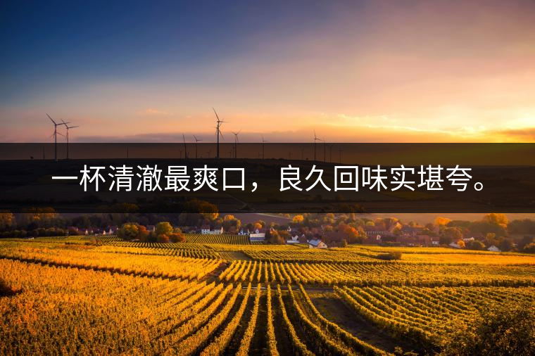 若能一日車船至，從此美名滿天涯。