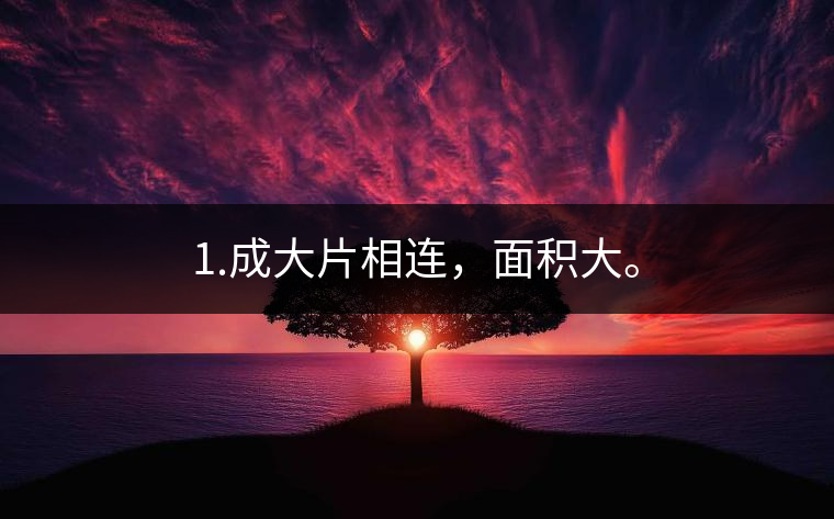 1.成大片相連，面積大。