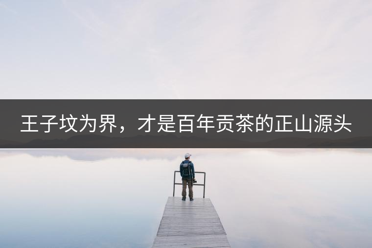 王子墳為界，才是百年貢茶的正山源頭
