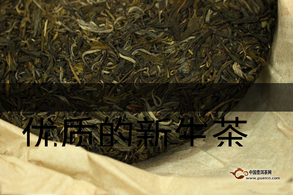 優(yōu)質(zhì)的新生茶是什么樣的？