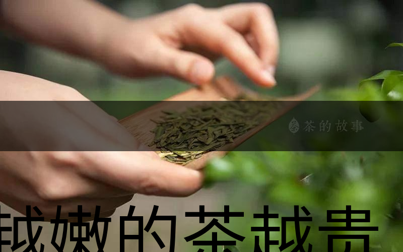 越嫩的茶越貴，但越貴的茶就越好嗎？