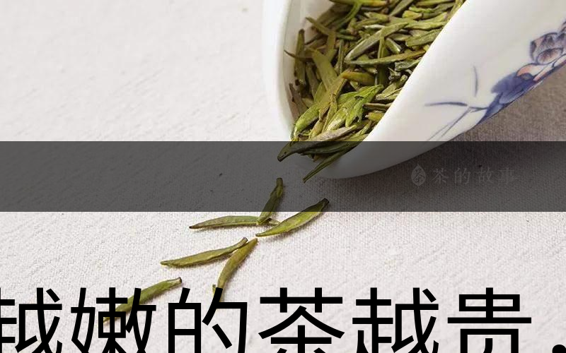 越嫩的茶越貴，但越貴的茶就越好嗎？-1