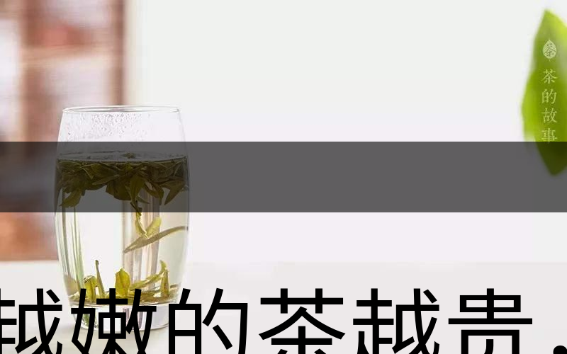 越嫩的茶越貴，但越貴的茶就越好嗎？-2