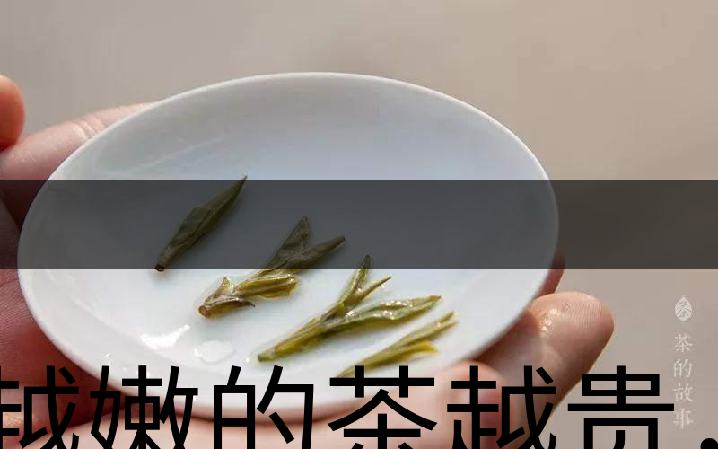 越嫩的茶越貴，但越貴的茶就越好嗎？-3