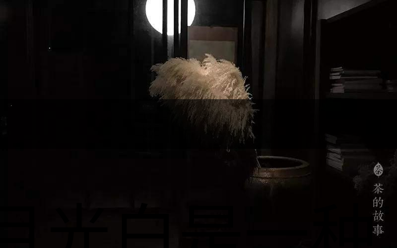 月光白是一種什么茶？