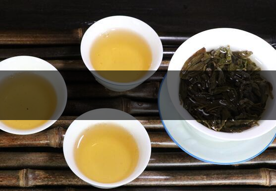 正春鴨屎香怎么泡-正春鴨屎香的正確泡法