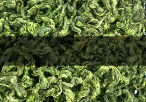 刺五加茶什么時(shí)候采摘-多少錢-1