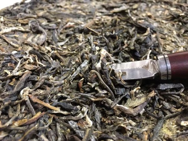 怎么樣泡好落水洞普洱茶？