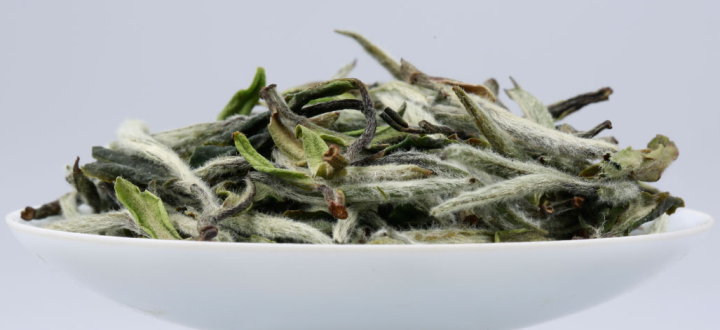 白茶的制作工藝(陳財制茶)