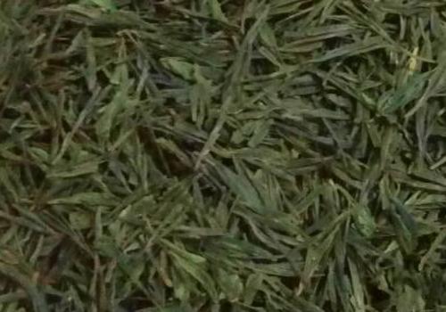 什么是海青茶？沖泡手法詳細(xì)教學(xué)！