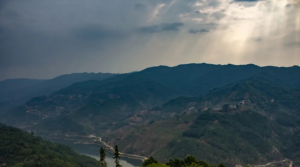 2021年磨烈：風(fēng)頭正勁的后起之秀，到底有何特點？