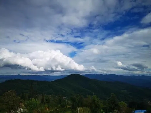 2021年那罕古樹秋茶口感？