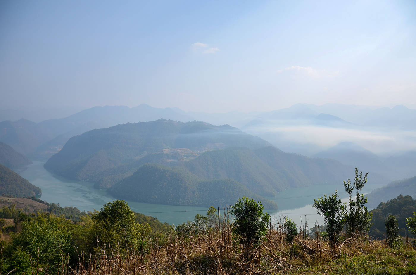 2021年白鶯山古樹秋茶，佛茶有什么魅力？