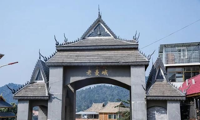 2021年老曼峨古樹秋茶特點？