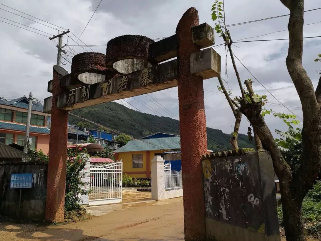 2021年廣別老寨古樹秋茶多少錢一公斤？