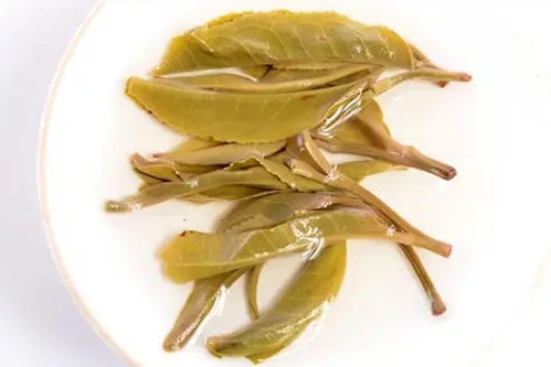 2021年南糯山拔瑪老寨古樹秋茶多少錢一公斤？