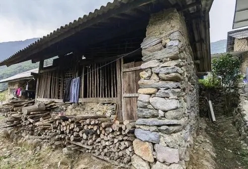 2022年景谷黃草壩古樹春茶特點是什么？