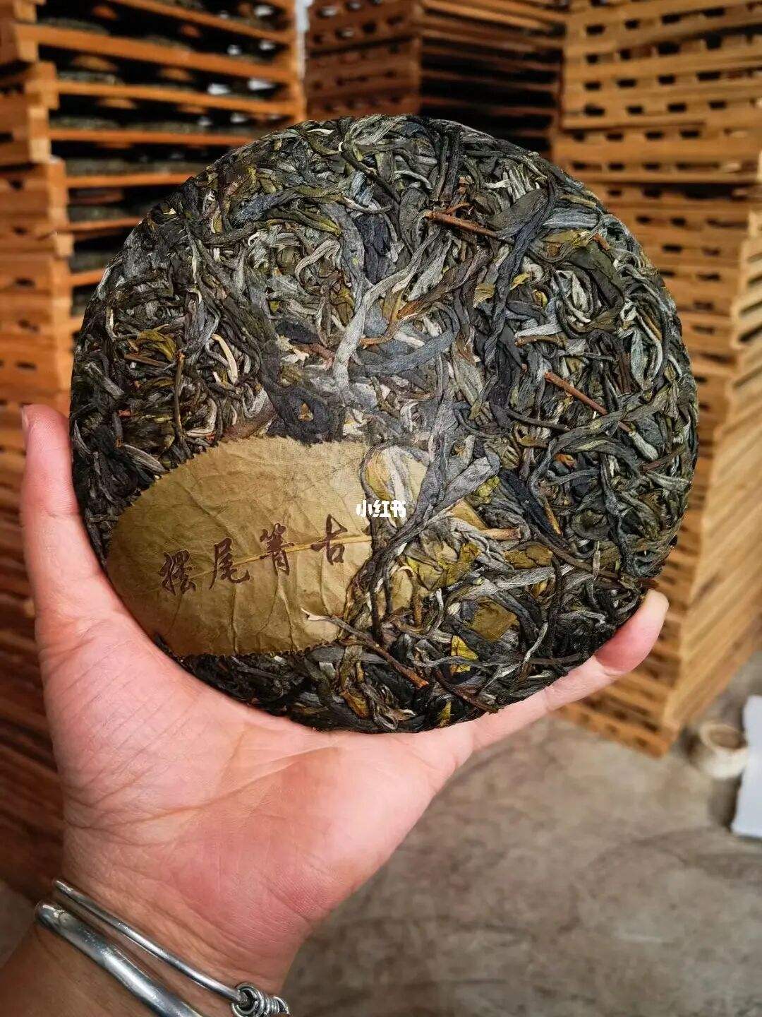 2022年寧洱 擺尾箐古樹春茶價(jià)格？