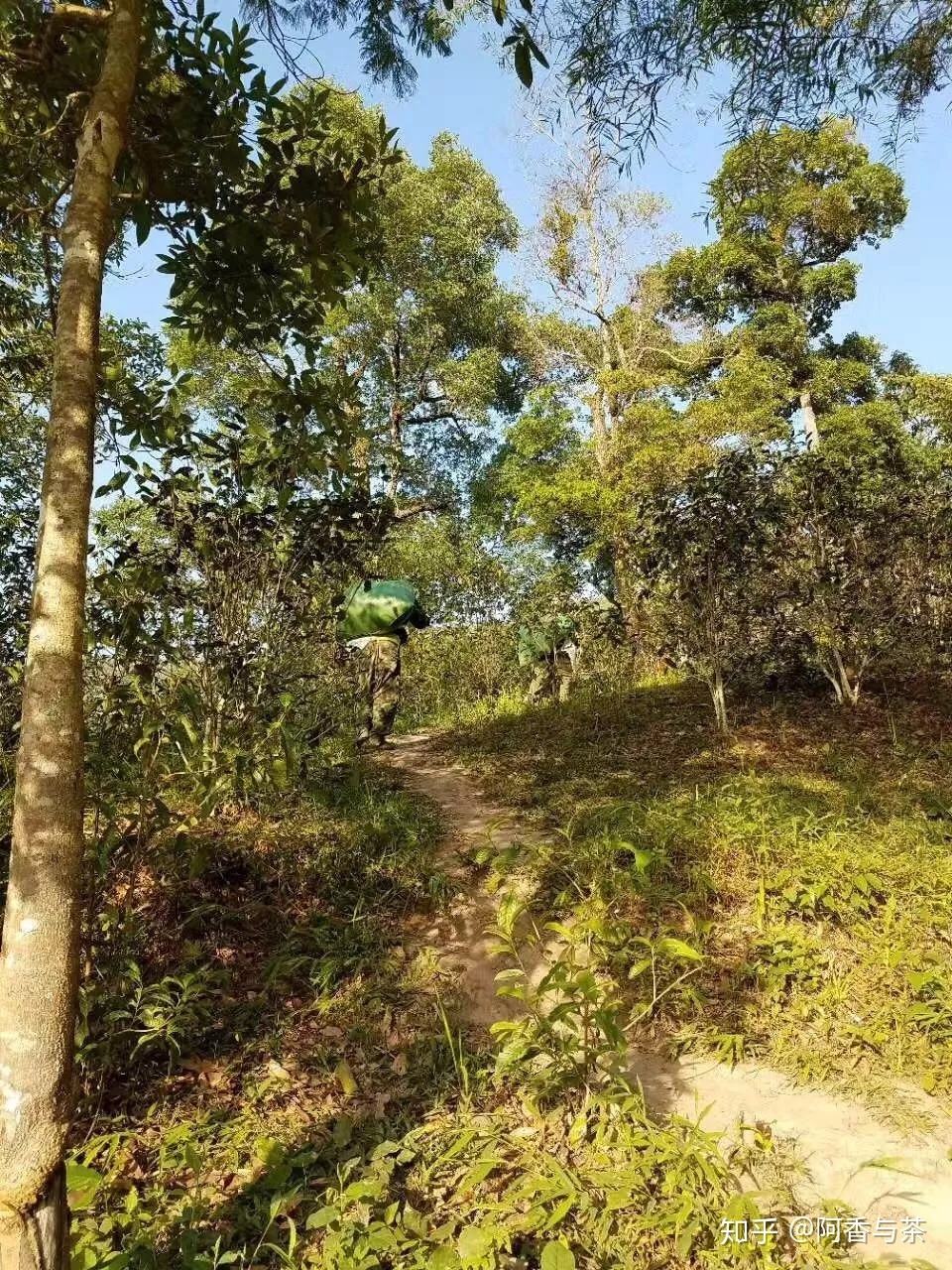 2022年刮風(fēng)寨茶王樹古樹茶多少錢一公斤？