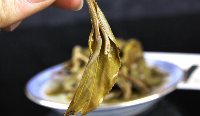 2022年冷水河古樹(shù)春茶價(jià)格？