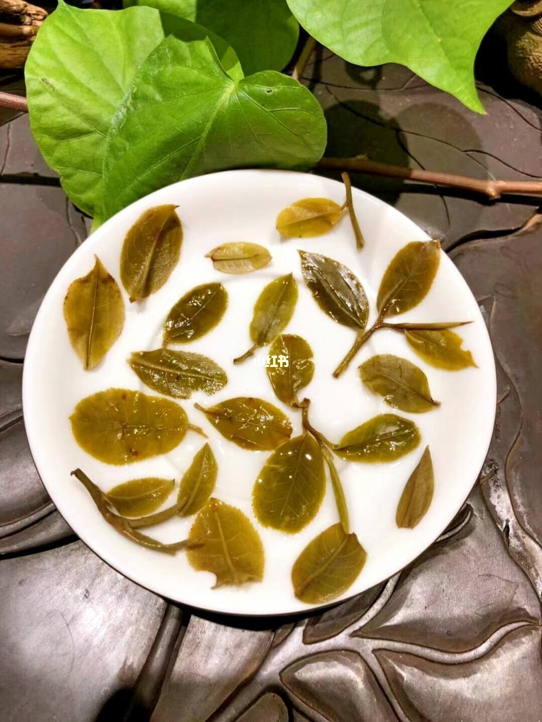 2022年倚邦貓耳朵古樹(shù)春茶多少錢(qián)一公斤？