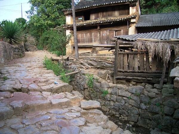 2022年蠻磚古樹春茶特點(diǎn)？