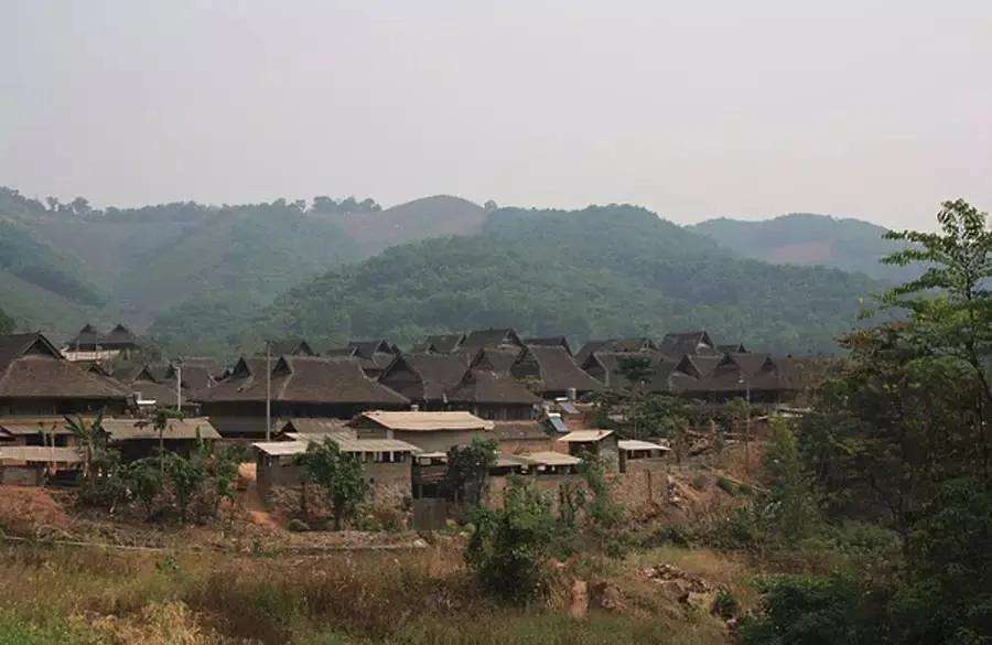 2022年革登古樹(shù)春茶特點(diǎn)？