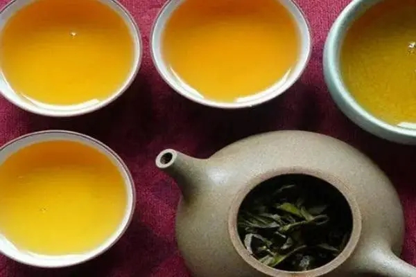 2022年普洱茶怎么泡法才正確？