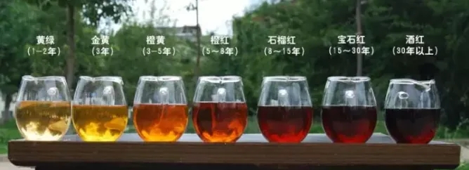 2022年普洱茶的茶湯湯色要怎么描述？