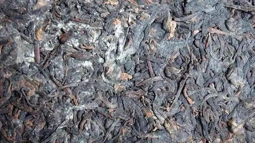 普洱茶怎么樣才算發(fā)霉？