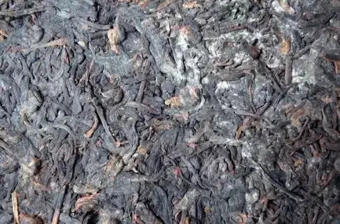 普洱茶泡了之后有霉味怎么辦？