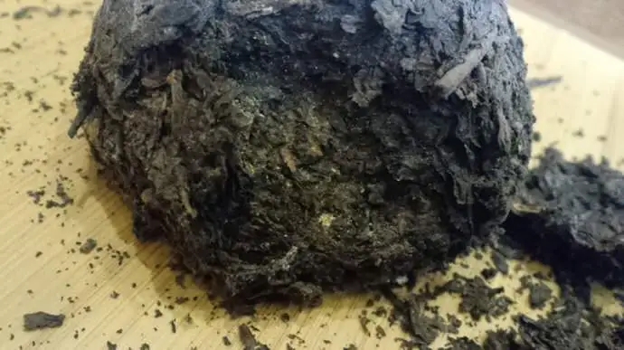 普洱茶蟲子怎么辦？