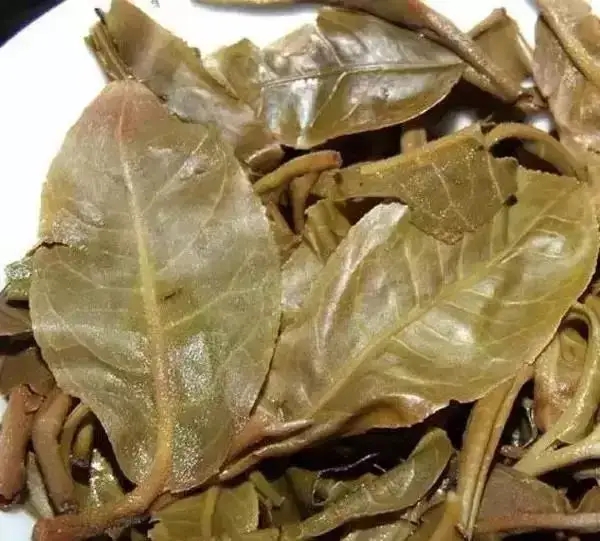 怎么看古樹(shù)普洱茶葉底？
