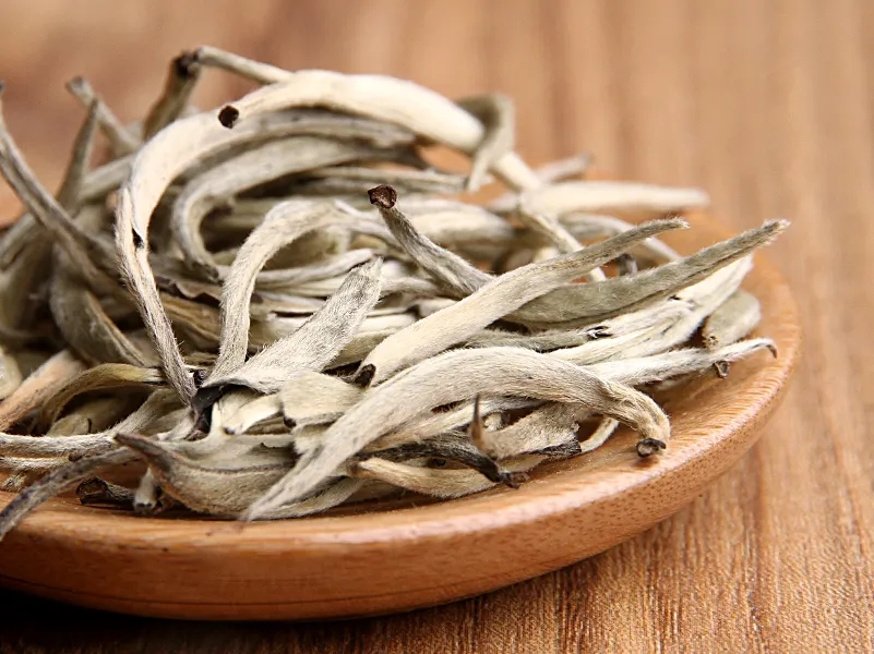 福鼎白茶、安吉白茶、云南月光白“三白”的區(qū)別