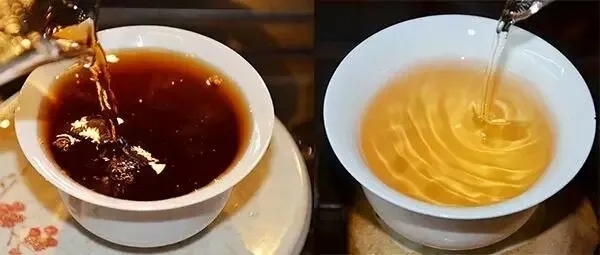 普洱茶湯怎么也會“出油”？