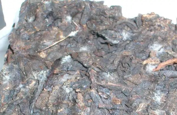 ?普洱茶發(fā)霉了怎么辦？教你妙招應對發(fā)霉的普洱茶！