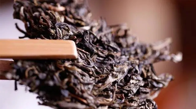 普洱生茶好還是普洱熟茶好喝？如何挑選適合自己的普洱茶？