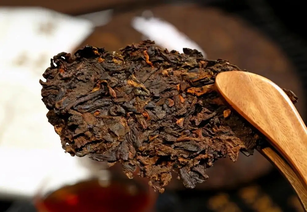 普洱茶生津、回甘、滋味、口感是怎么回事？丨實用