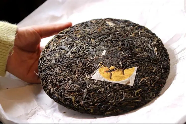 犀牛塘 | 古韻留香，帕沙之王