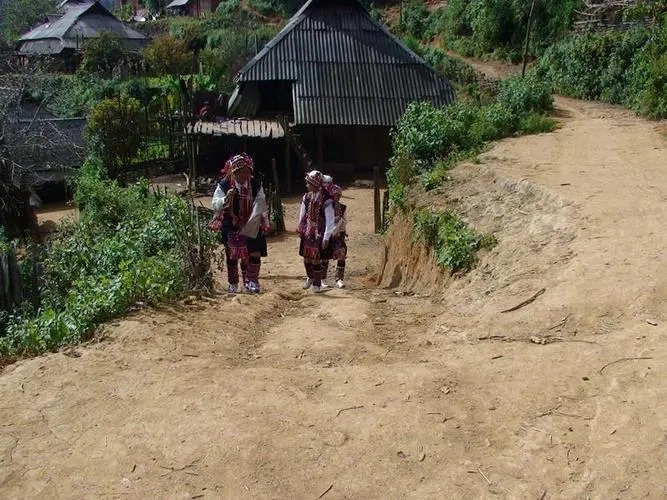 2022年的春天，古樹味道從犀牛塘開始！