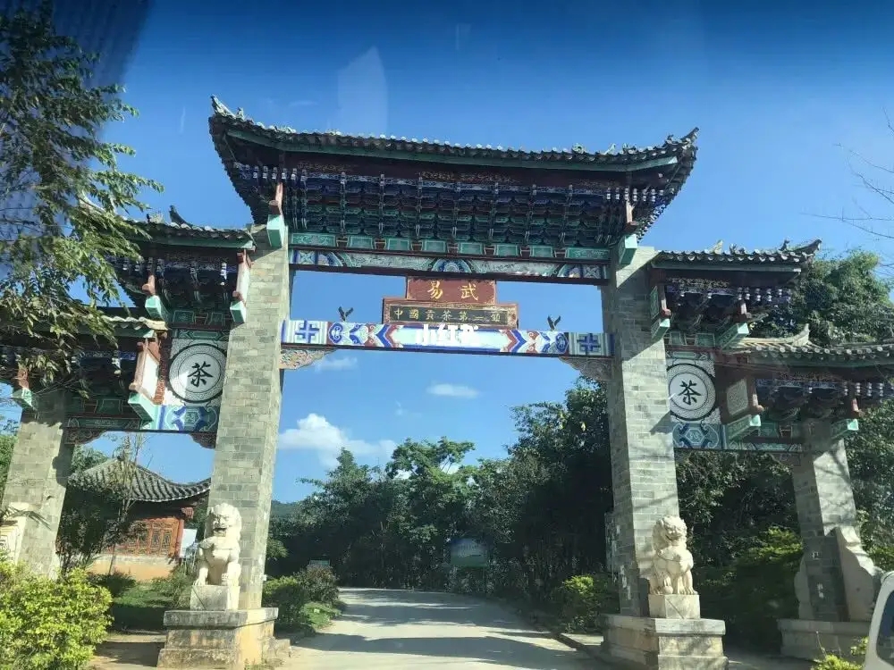 古樹茶年份越老，茶葉就越好嗎？影響茶葉品質(zhì)的因素有哪些？