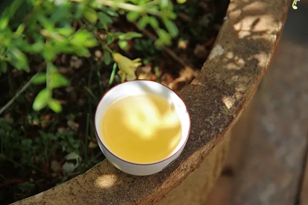 普洱茶越苦澀就代表品質(zhì)越好嗎？