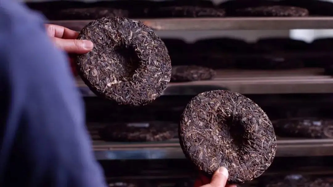 喝茶人都關心的普洱熟茶4大超核心問題！