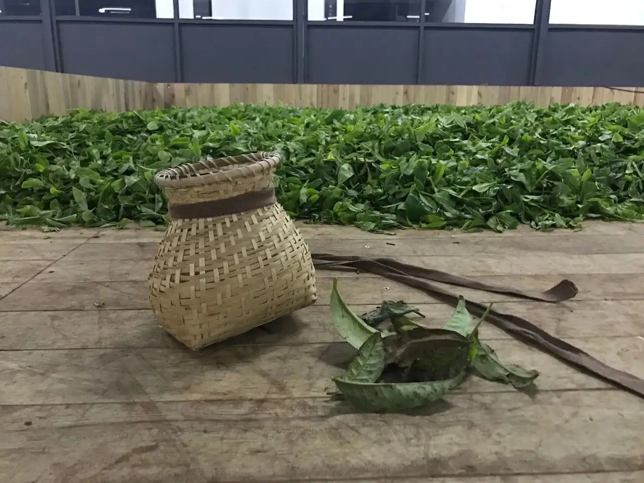 普洱茶，如果不談山頭，我們談什么？