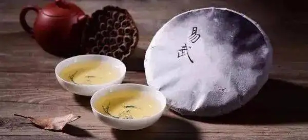 體驗(yàn)古樹(shù)普洱之美妙茶氣